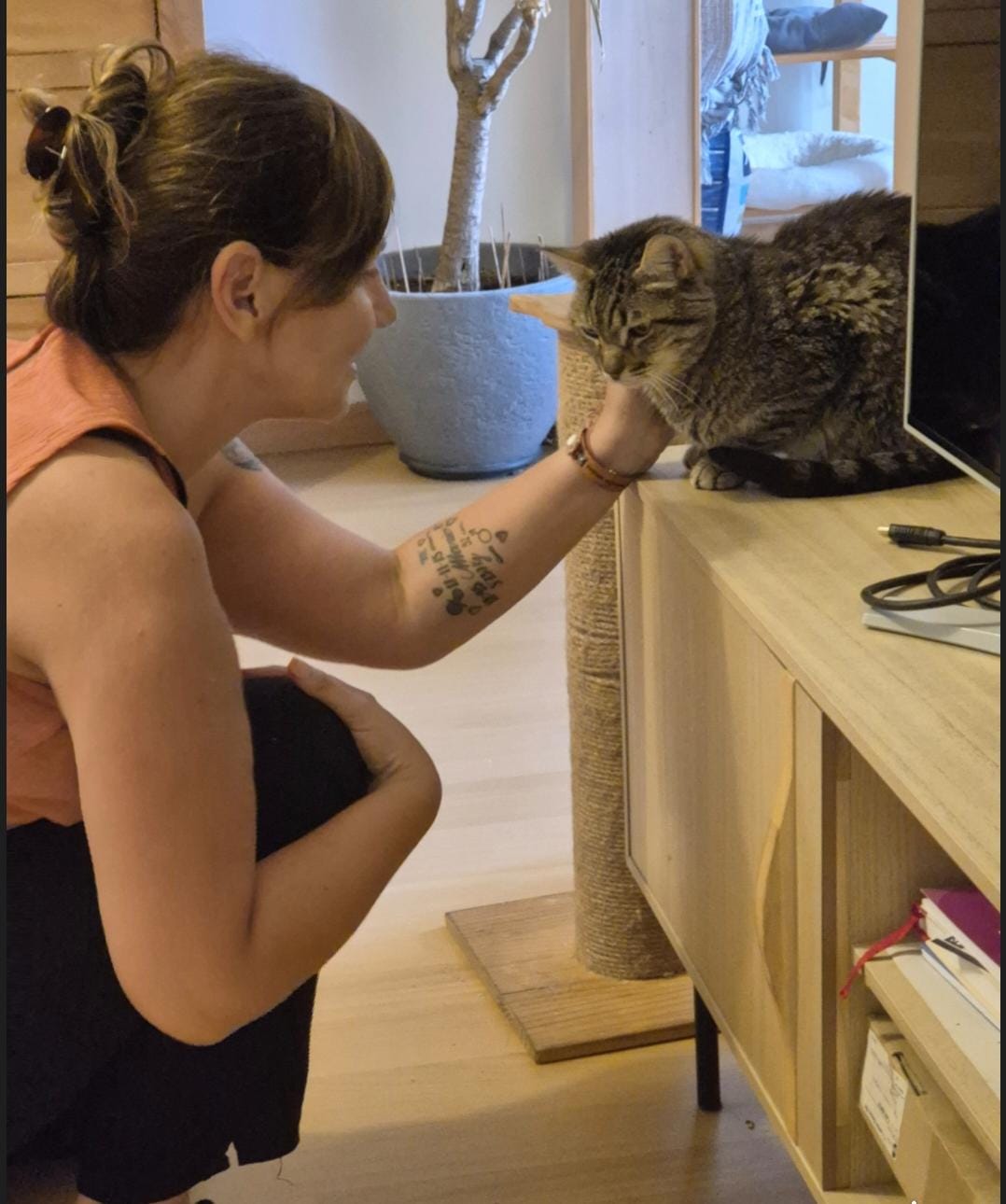 In-home cat care in Cornellà de Llobregat